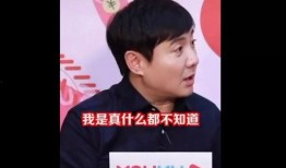 吃瓜娱乐主持人名单,那些热衷于吃瓜的主持人风云录