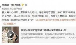 王鸥爆料视频最新版下载,揭秘娱乐圈惊人内幕